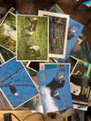 All Animal related postcards