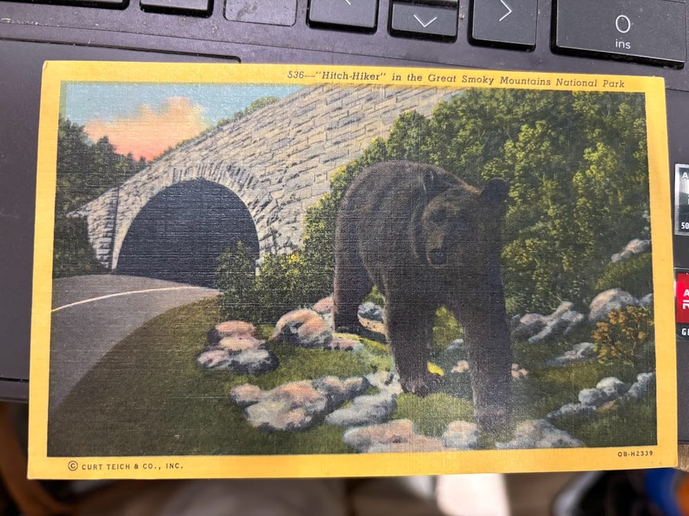 All Animal related postcards