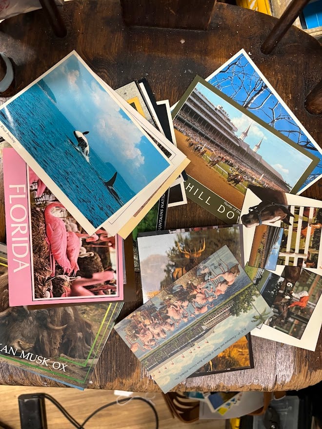 All Animal related postcards