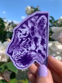 Image 3 of TIGER stickers