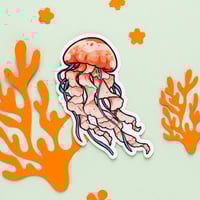 Image 1 of STICKER - Jellyfish (S28)