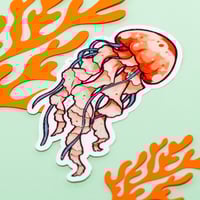 Image 2 of STICKER - Jellyfish (S28)