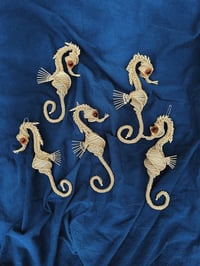 Image 4 of Seahorse
