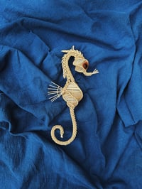 Image 1 of Seahorse