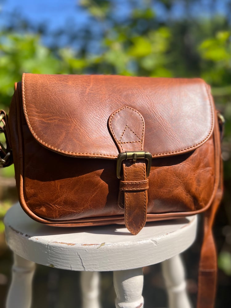 Image of Harlequin Collection - Small Brown - front buckle #13A