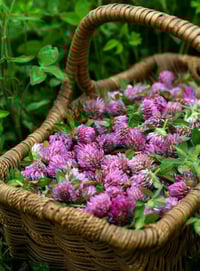 Image 3 of Restorative Formula