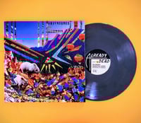 Comfort Food/Binary Marketing Show 'Adventures of Mammals' 12" Vinyl LP