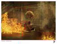 Image 3 of Pincushion Resin Print on Wood and Loose Prints