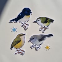 Tiny Birds of Aotearoa Sticker Set