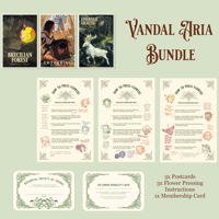 Image 1 of Vandal Aria: PAPER BUNDLE