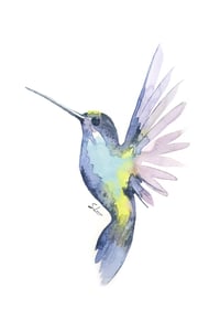 Image 1 of Hummingbird Watercolour workshop - 1st June