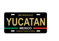 Image 3 of Mexico State License Plate Art Collection - 32 Mexican States with Color Options