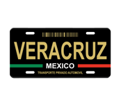 Image 4 of Mexico State License Plate Art Collection - 32 Mexican States with Color Options