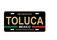 Image 5 of Mexico State License Plate Art Collection - 32 Mexican States with Color Options