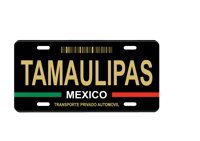 Image 7 of Mexico State License Plate Art Collection - 32 Mexican States with Color Options