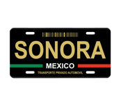 Image 9 of Mexico State License Plate Art Collection - 32 Mexican States with Color Options