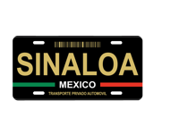 Image 10 of Mexico State License Plate Art Collection - 32 Mexican States with Color Options