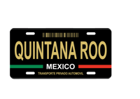 Image 12 of Mexico State License Plate Art Collection - 32 Mexican States with Color Options