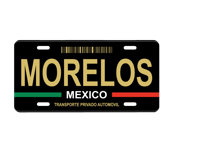 Image 18 of Mexico State License Plate Art Collection - 32 Mexican States with Color Options