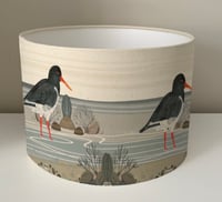 Image 2 of Oyster Catcher