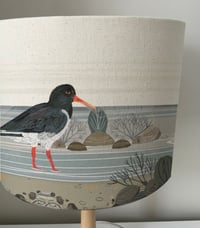 Image 3 of Oyster Catcher
