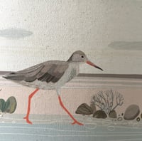 Image 3 of Sandpiper