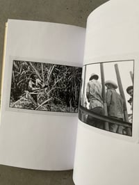 Image 3 of Linhart - The Sugar and the Hunger