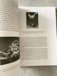 Image 5 of Ģimene / Family by ĒRIKS APAĻAIS