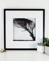 Windswept tree papercut - Summer Sample Sale 2025