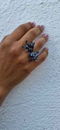 Image 1 of Anillo Colección ALGAS sin pan de oro