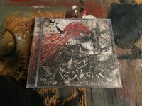 Ancestor Of Kaos - Animal Ritual