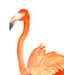 Image of Pink Flamingo 