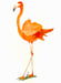 Image of Pink Flamingo 