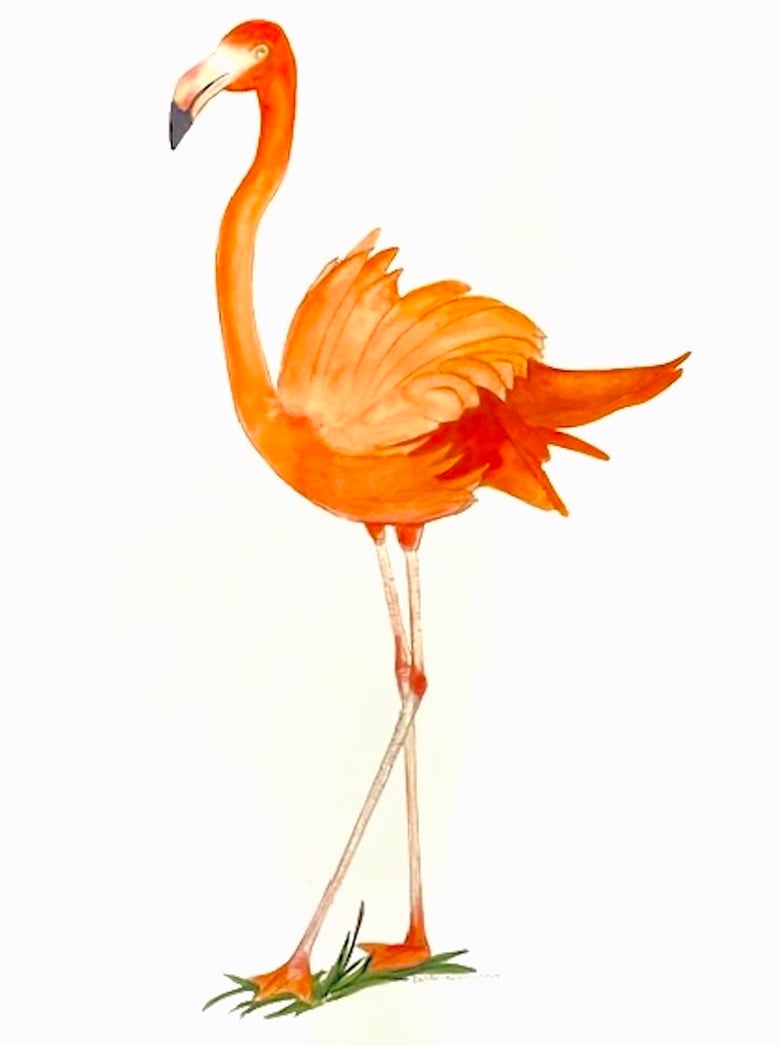 Image of Pink Flamingo 