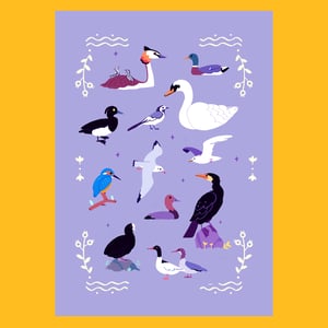 🎨  Print A5 - Oiseaux du lac