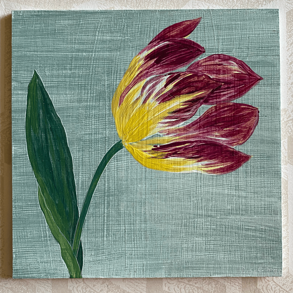 Image of Tulip Study (B)