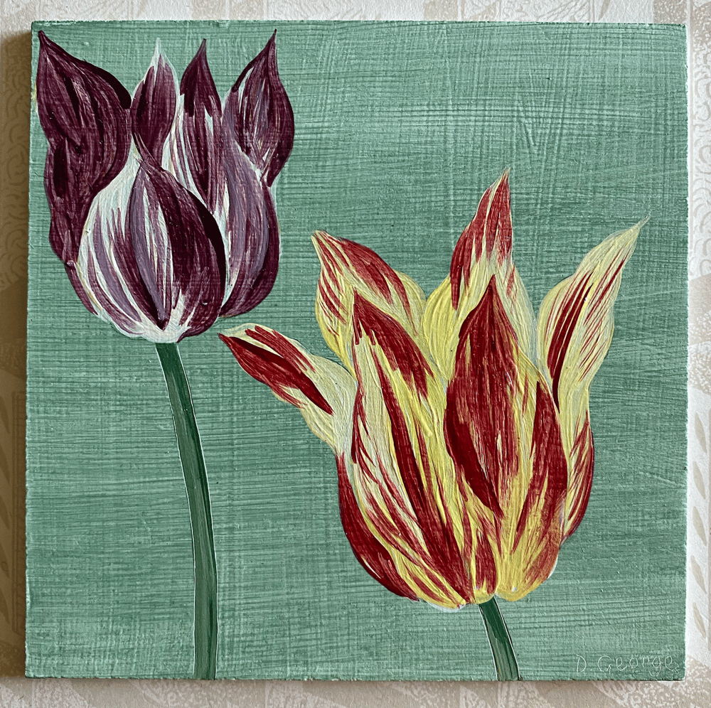 Image of Tulip Study (C)