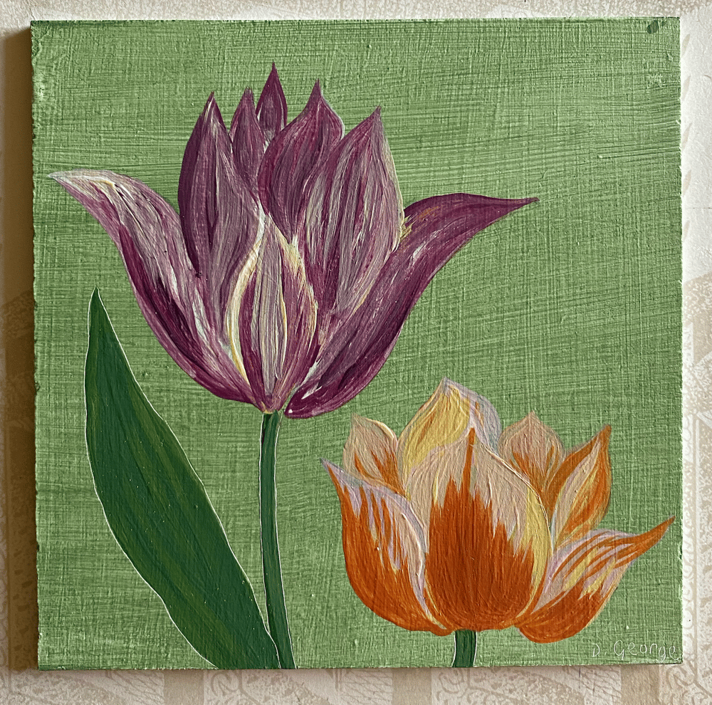 Image of Tulip Study (D)
