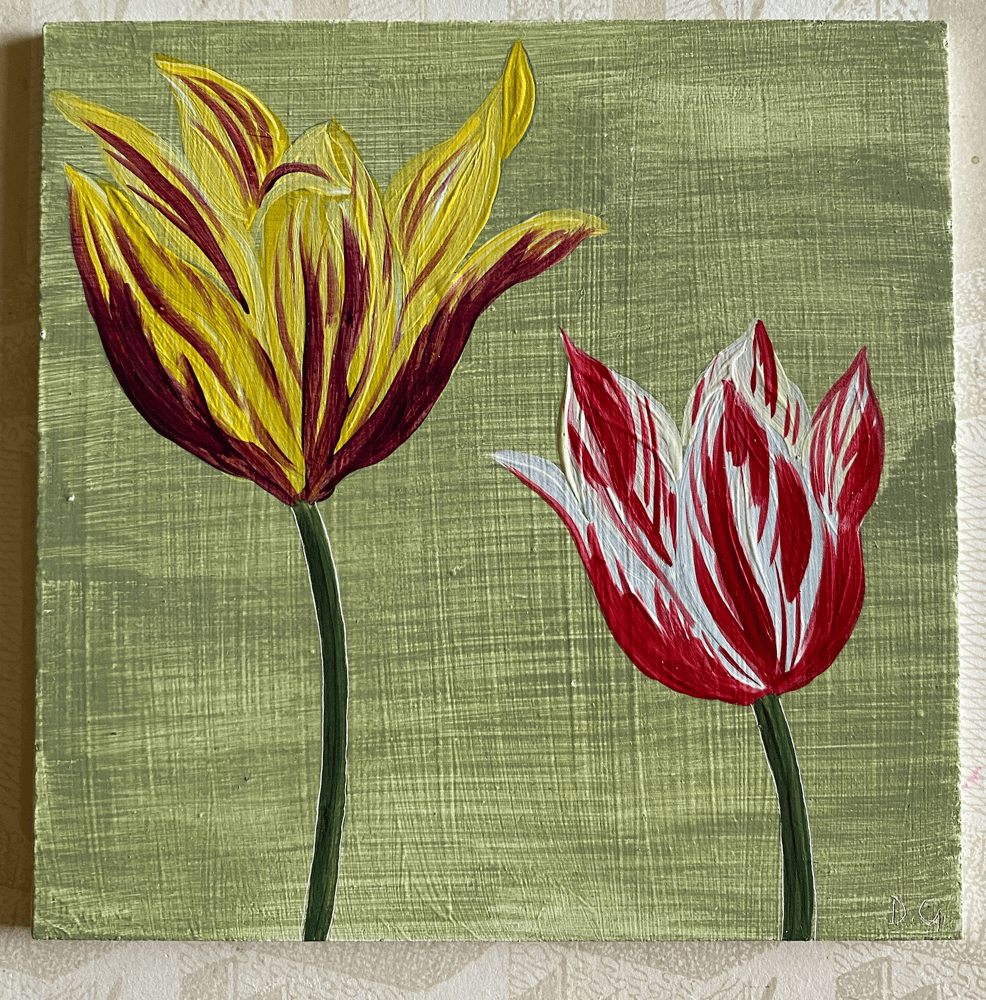 Image of Tulip Study (E)
