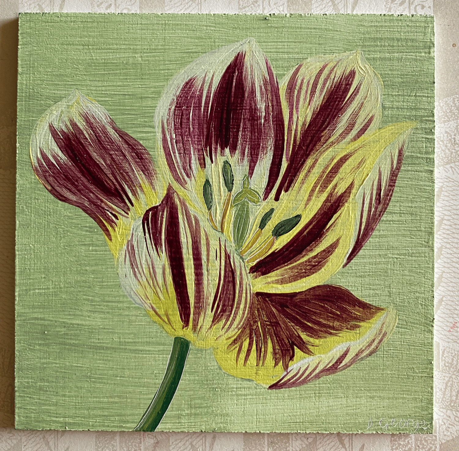 Image of Tulip Study (F)