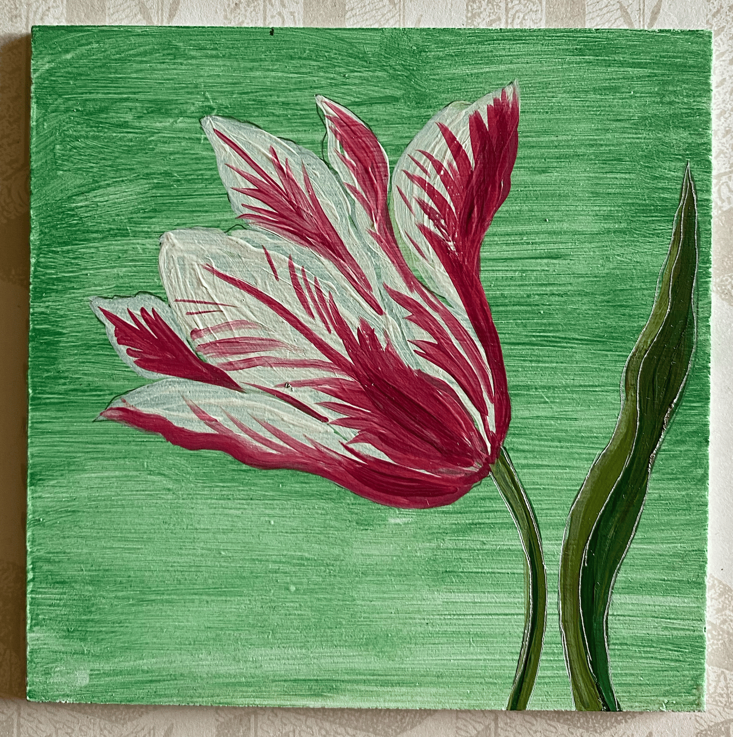 Image of Tulip Study (H)