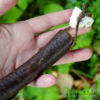 Image 5 of Twisted Blackthorn Blasting Rod (BR010)