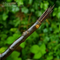 Image 1 of Twisted Blackthorn Blasting Rod (BR010)