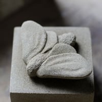 Image 2 of Moth