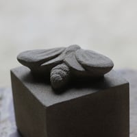 Image 5 of Moth