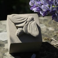Image 1 of Moth