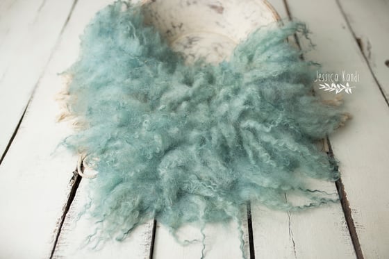 Image of Robin's egg hand felted fur