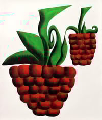 Raspberries 
