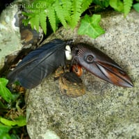 Image 5 of Irish Crow Amulet (DAM665)
