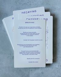 Image 4 of Mycoscores / Choreospores by MAIJA HIRVANEN